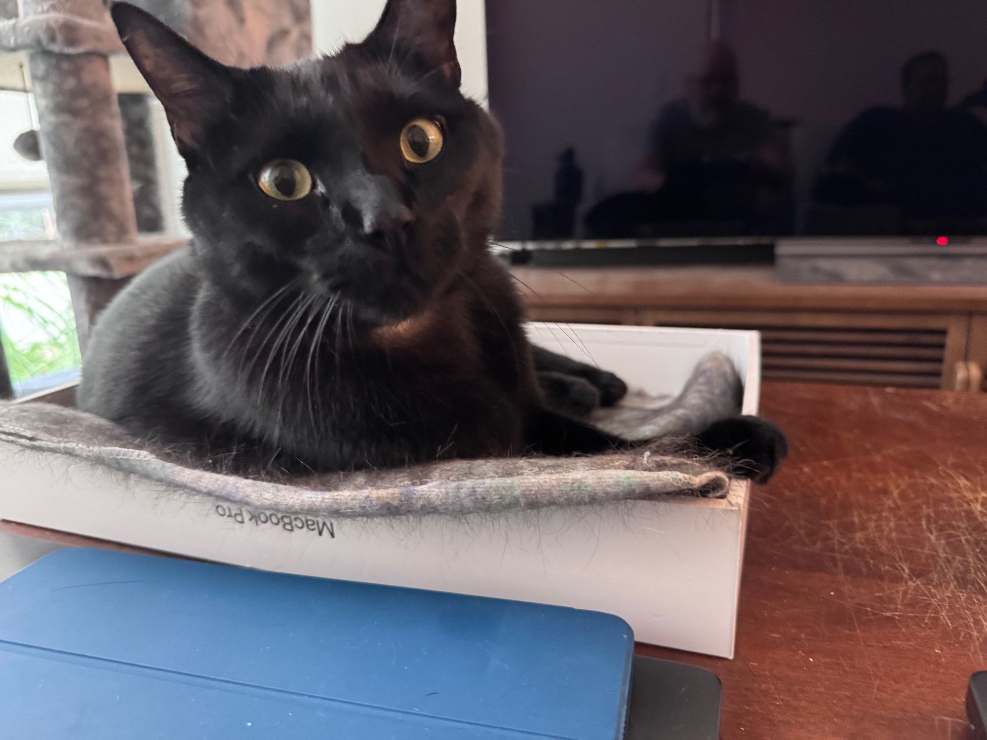 Bluesky Post 2025-08-17