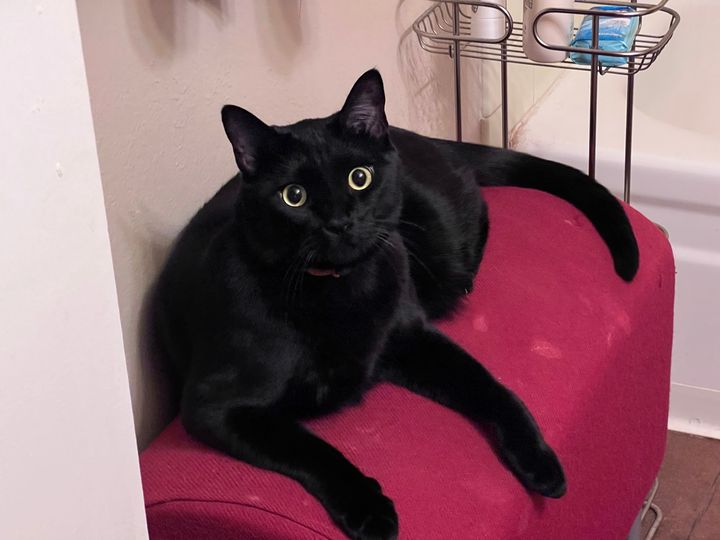 Mastodon Post 2023-10-27