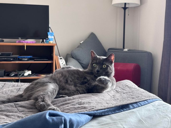 Mastodon Post 2025-03-23