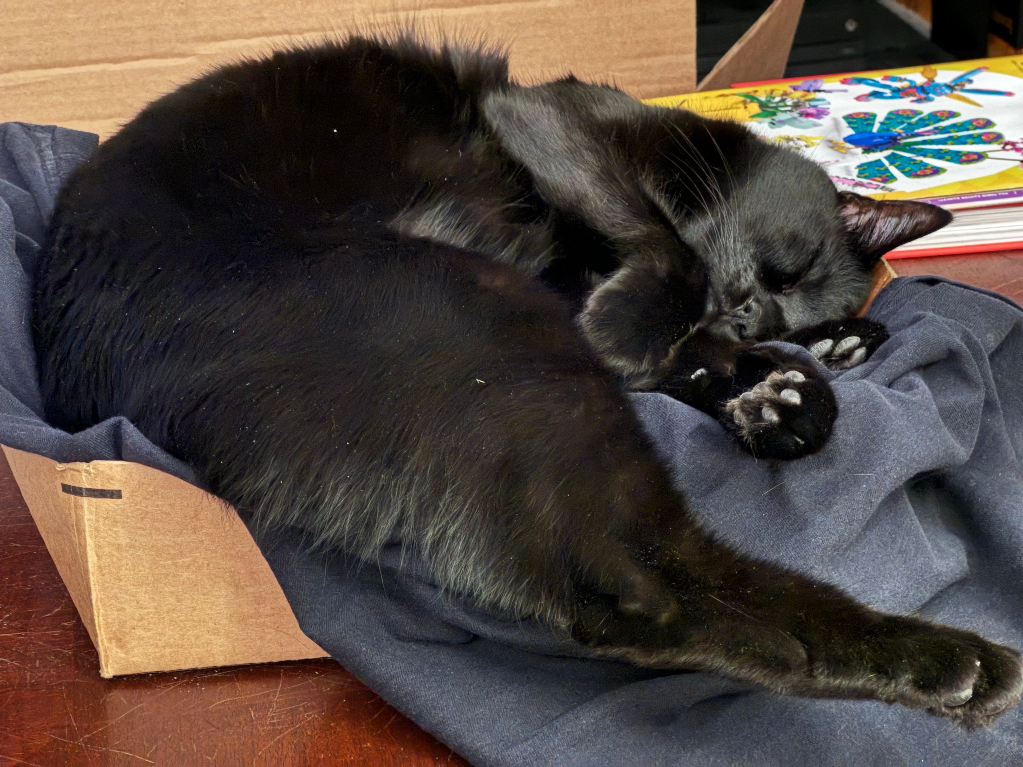 Mastodon Post 2024-07-13